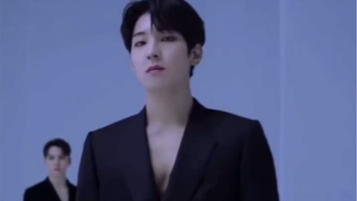 [All Wonwoo] What does a chest with visible pecs look like?