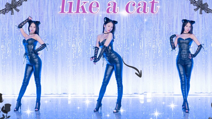 Like A Cat: Who can resist a kitten? [Qinghe]