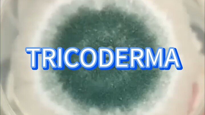 TRICODERMA
