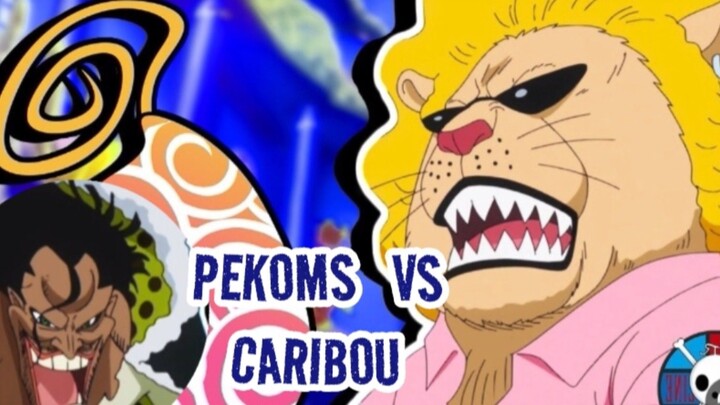 #onepiece "PEKOMS VS CARIBOU. Fakta Pekoms Kuat #luffy