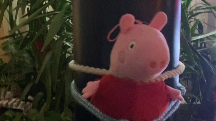 Ending a lunatics life once and for all