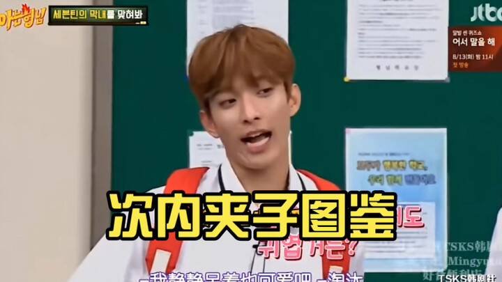 Inner Clip Illustrated Guide