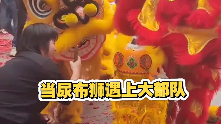 Ketika Singa Popok Bertemu dengan Singa Besar, Xiao Xi Ji sempat ketakutan bukan main… Haha, tapi se