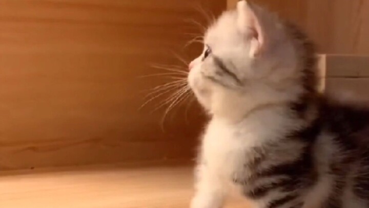 “Some little things exist just to heal you.”