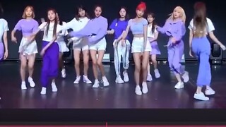 [Must-have for dance rap] IZONE Fantasy Fairytale Secret Story of the Swan Movement [Mirrored]