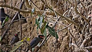 আসুন গ্রাম থেকে ঘুরে আসি