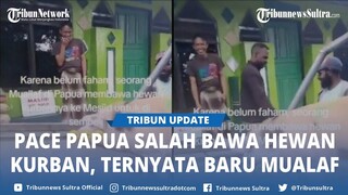 Viral, Mualaf di Papua Bawa Seekor Babi Dikurbankan, Pak Ustaz Garuk garuk Dagu, Warganet Respect!