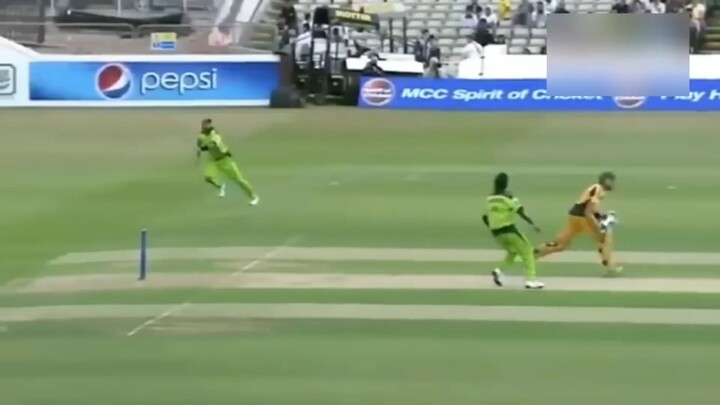 Top 10 Best Catches in Cricket History till 2020__Cricket Alltime