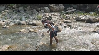 Cast Net Fishing in Nepal | Himalayan Trout Fishing with Handmade Cast Net |