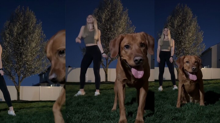 Dog 🐶: Let me demonstrate again—your movement is incorrect.