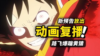 我们比2年前强了100倍！海贼王动画复播在即，全新预告片段放出！亮点十足～