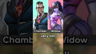 Which Are Taller? | VALORANT vs Overwatch