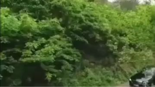 เย่เป่ย เทพแห่งสวรรค์