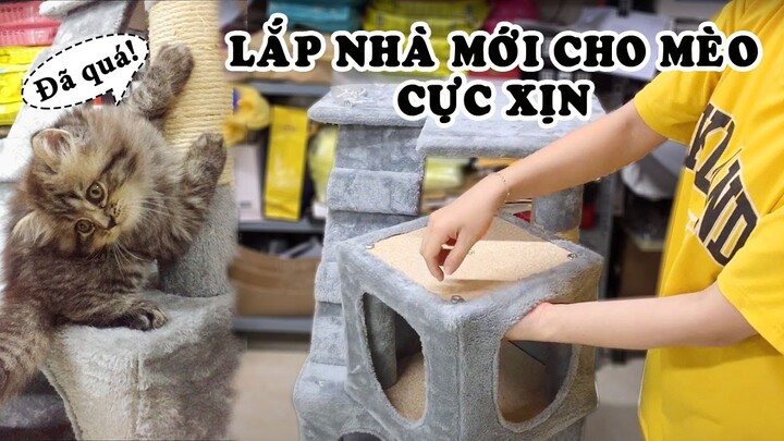 HƯỚNG DẪN LẮP NHÀ CÂY (CAT TREE) CHO MÈO 3 TẦNG - MÃ LZ0143