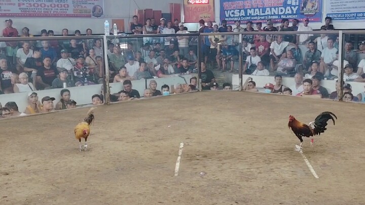 bakbakan sa malanday 3-1 standing.