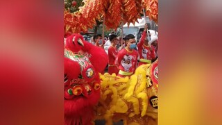 tettansuu2021 tet2021 liondance mualan mualansurong thantai ongdia ongdiaongthantai