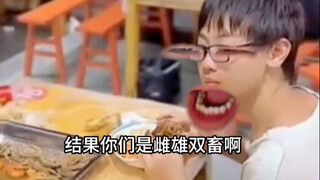 Động vật đực và cái