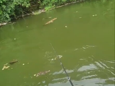 Today’s the perfect day for fishing! Joining us is a pro lure angler.