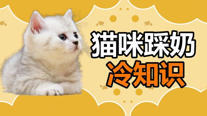 Pet Trivia: What Does It Mean When Cats “Knead”? In What Environments Are Cats Most Likely to Knead?