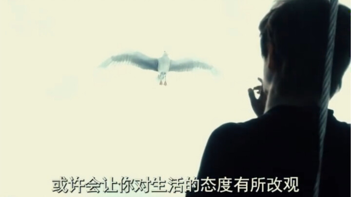 ชายผู้พิชิตท้องฟ้าด้วยลวดเหล็ก