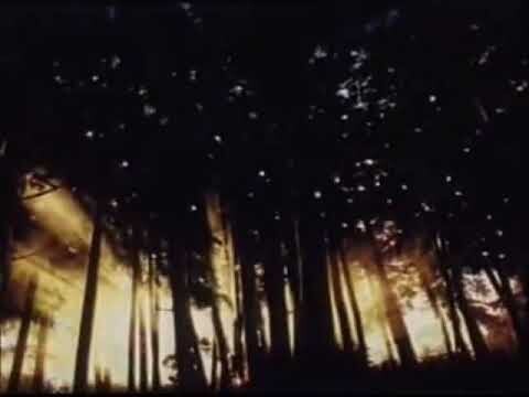 H X H Indonesia Dub Volume 23 Bagian 2/3