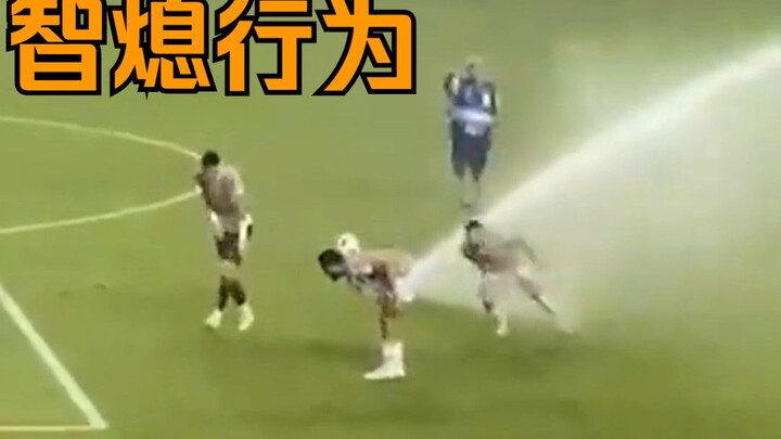 【Hành vi khó hiểu của con người】181 Những hành động “chết não” đầy bối rối