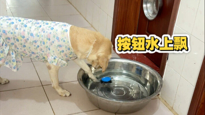 Nút nổi trên mặt nước