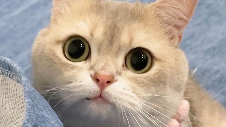 Share this with the people you like!