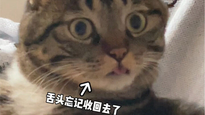 Quyển: Thì ra đáng yêu cũng là một sai lầm