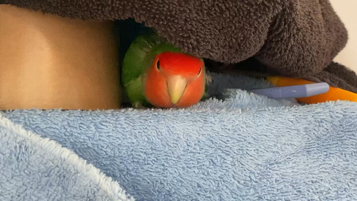 Saku-chan in a Candid Shot