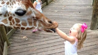 Kids And Animals At The Zoo 11 - Animals Funny Video | Pet Squad