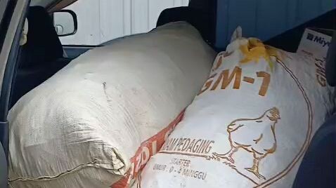 ngene iki le remek.e jhannn