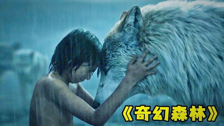 Cậu bé lạc vào khu rừng kỳ ảo, dùng trí tuệ của con người để chống lại mãnh thú – phim kỳ ảo