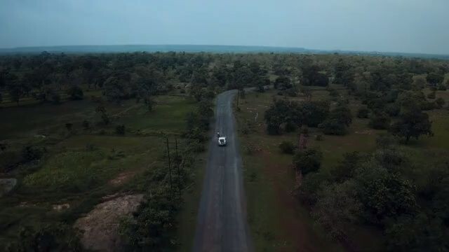 Janaawar the Beast Within