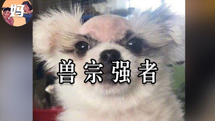 [Ilustrasi Manusia Liar] Klan binatang buas sangat kuat, sangat mengerikan [Persetan denganmu!]