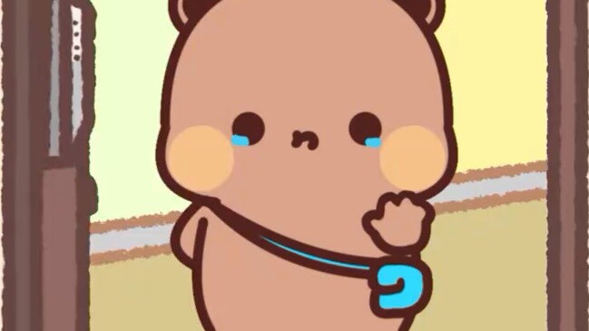เราและแมวจรจัด