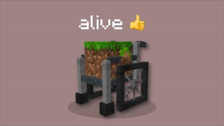 [Phụ đề tiếng Trung] Minecraft nhưng mỗi khối đều sống động