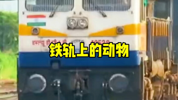 Why does a train that looks so slow generate such a massive impact when it hits something?