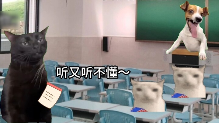 When you hear the prelude to English listening