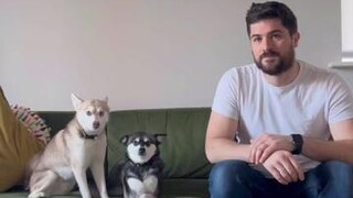 Day 101 of trying to get skye to react