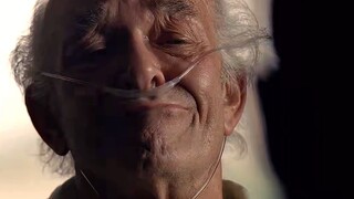双宿双飞了……
