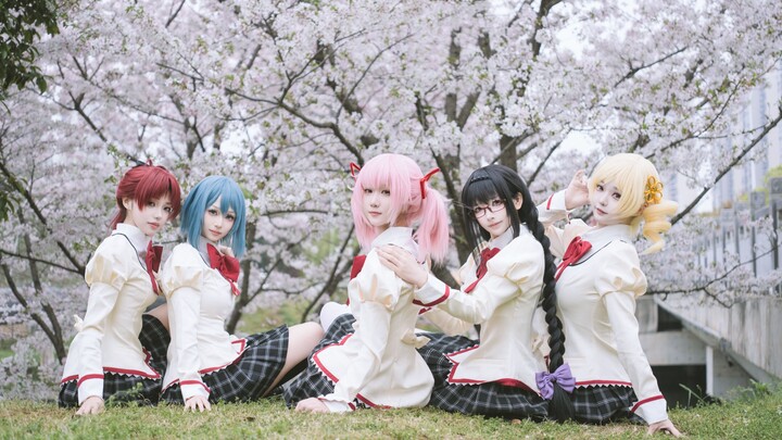 [Puella Magi Madoka Magica cosplay dance cover] Ditto |🕊️[Garlic Bird Bounce]