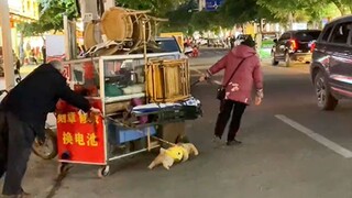 “น้องหมาพยายามอย่างหนัก เพื่อประคับประคองบ้านที่มันรักนี้!”