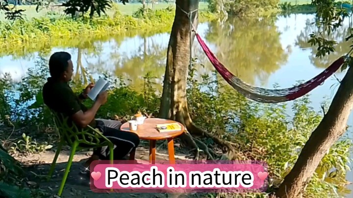 peachful life❤️