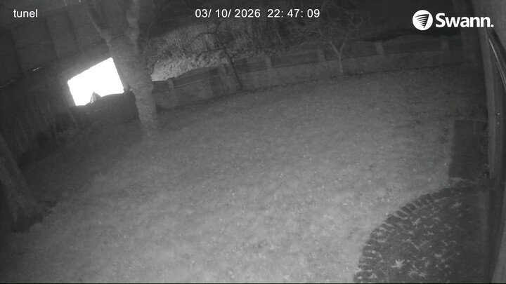 Piss Man - 20260310-224620