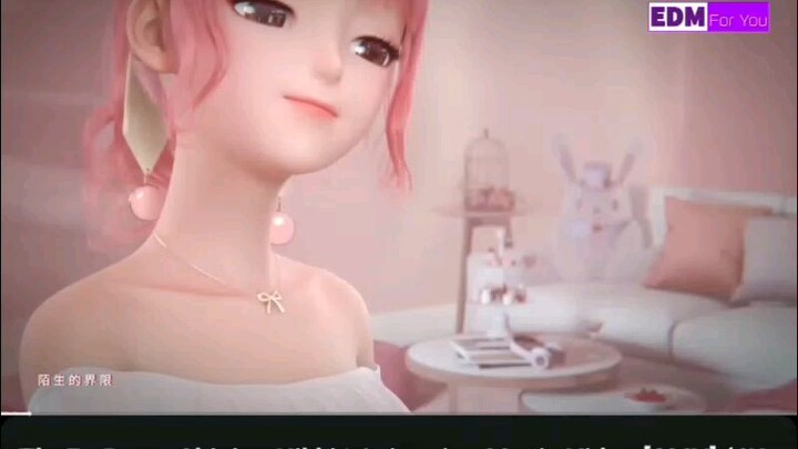 Nikki animation song