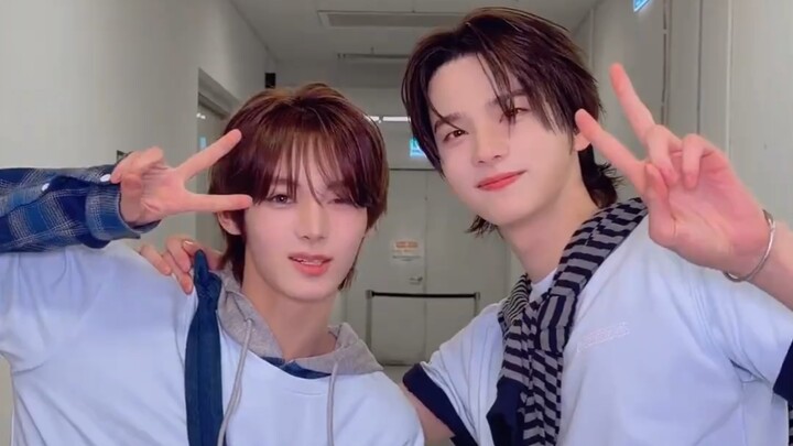 เสินเว่ย × หานเจิ้น ‘คู่มือฝึกฝนวัยเยาว์’ เต้น cha 💗 260124