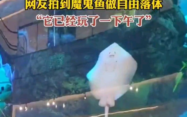 Fish: So, was it worth the trip today?