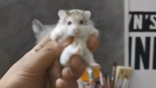 Small nose