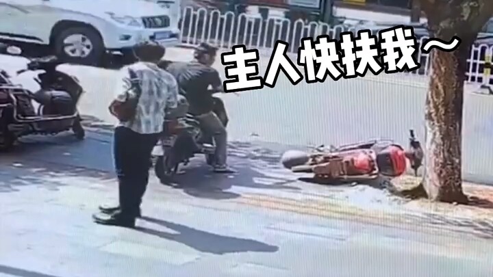 تُتقن الأناقة تمامًا!